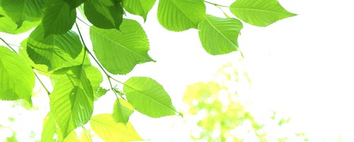 Bizoux rY[ WG[uh̔TCg